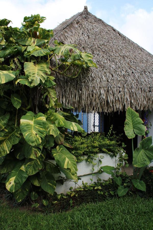 Bungalows Las Tortugas Ло де Маркос Екстериор снимка